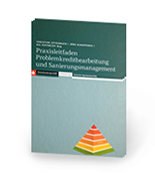 Praxisleitfaden Problemkreditbearbeitung und Sanierungsmanagement Publikation